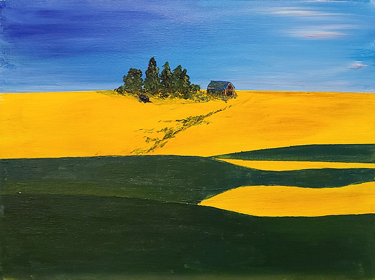 Canola Fields #1