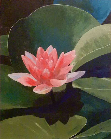 Water Lily Study