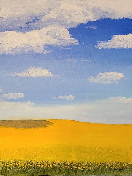 Canola Fields #2