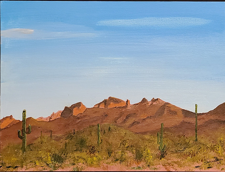 Goldfield Mountains #2