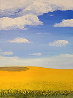Canola Fields #2