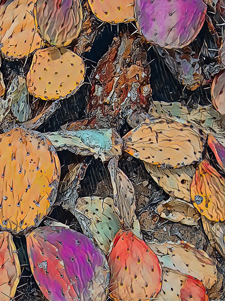 Prickly Pear #5