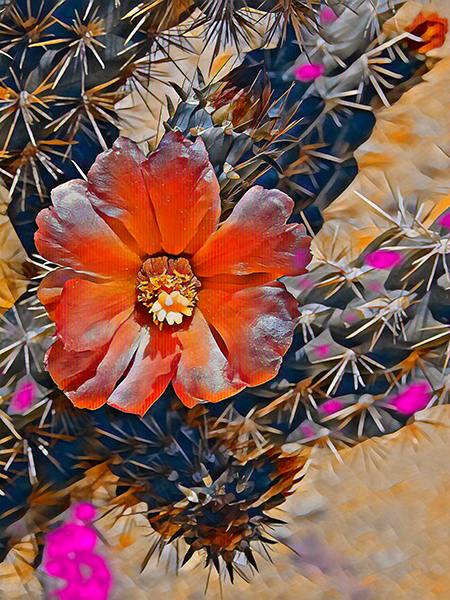 Ladyfinger Cactus
