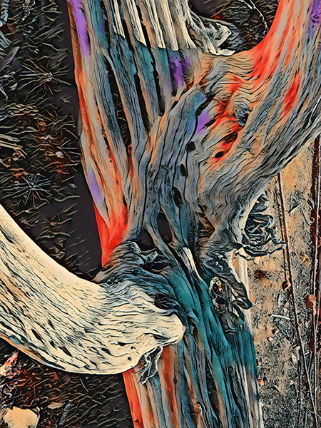 Cactus Bones
