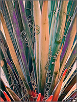 Agave #18