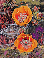 Prickley Pear #6