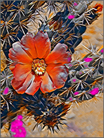 Ladyfinger Cactus
