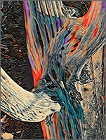 Cactus Bones