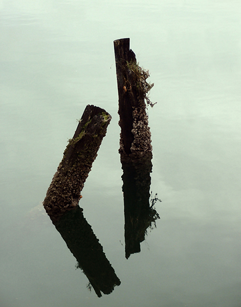 Hoquiam River