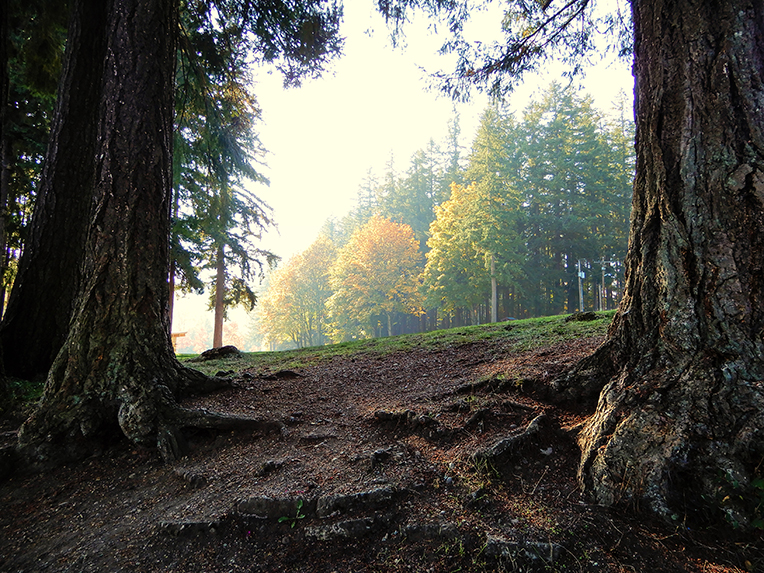 Lake Wilderness