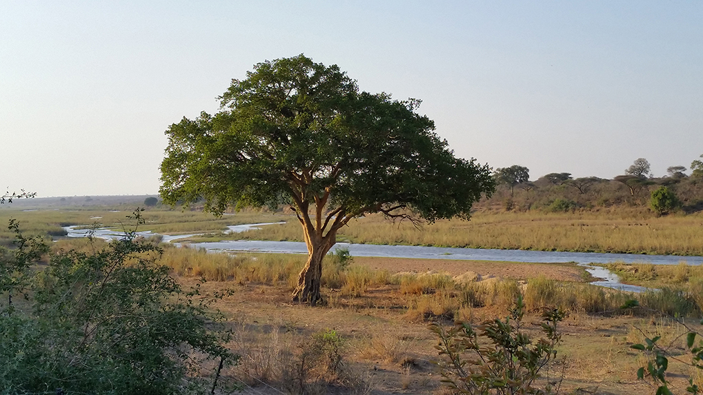 Krokodilrivier