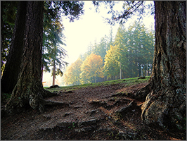 Lake Wilderness