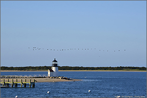 Brant Point Lighthouse