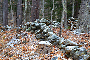 New Hampshire Frost