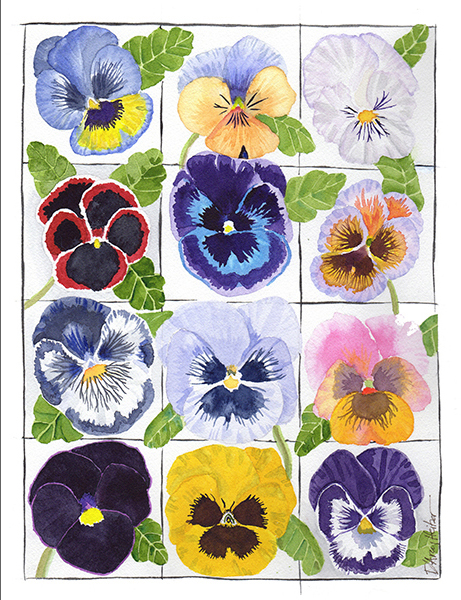 A Dozen Pansies