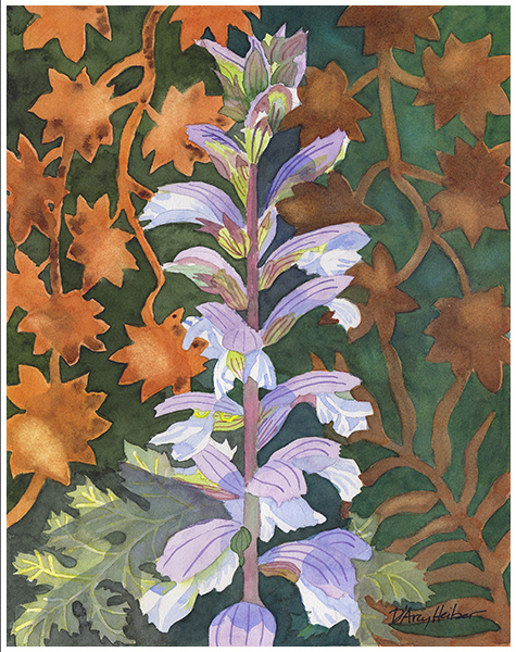 Acanthus