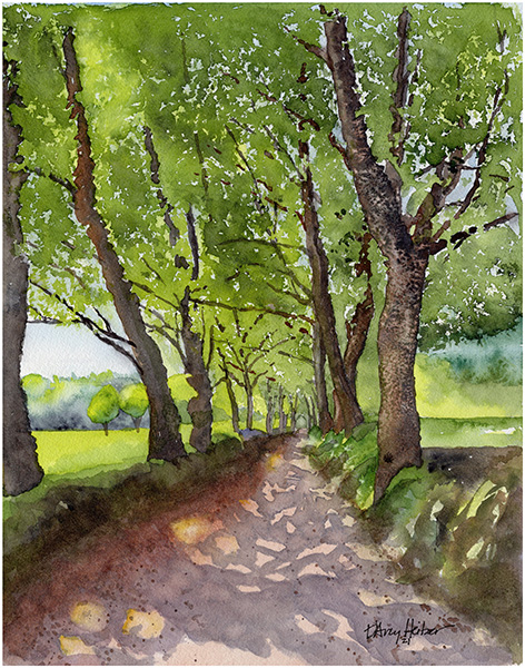 Camino de Santiago