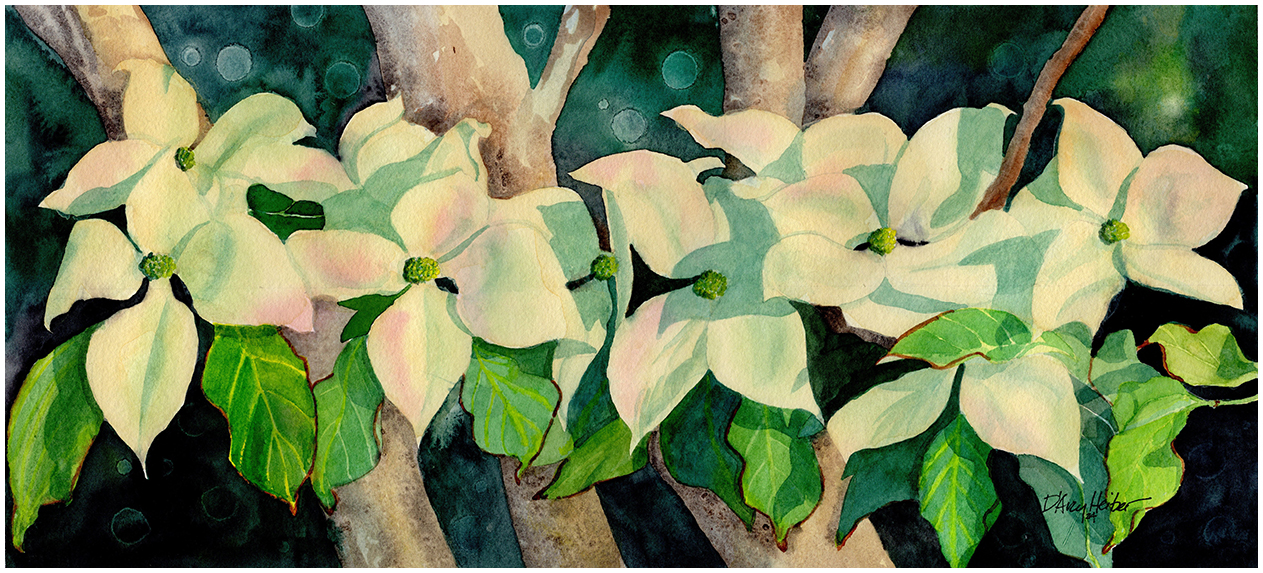 Cornus Kousa