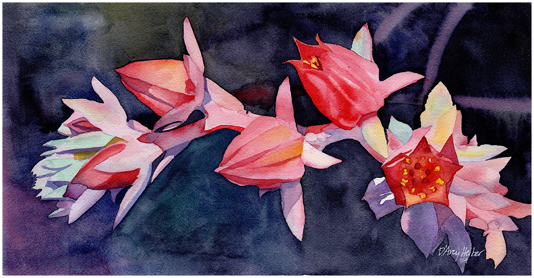 Like Little Lanterns