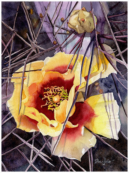Opuntia macrocentra