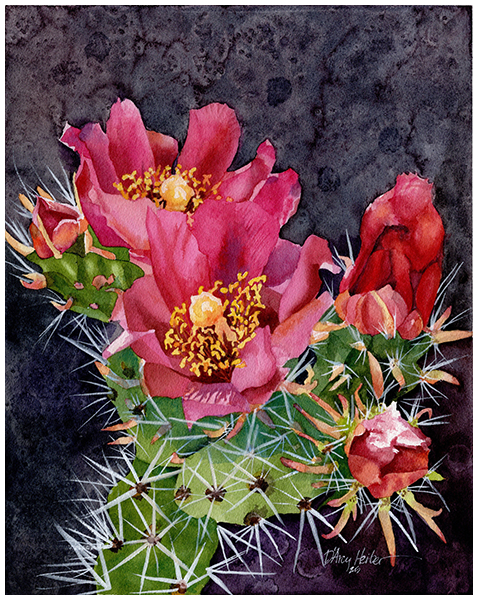 Cactus Flowers 3