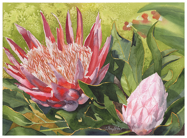 Kirstenbosch King Protea