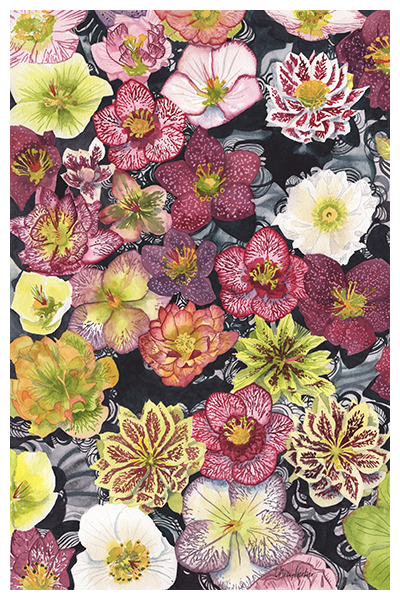 Hellebore Float