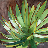Agave Blue Glow