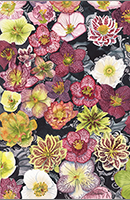 Hellebore Float